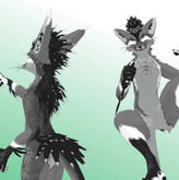 Rexouium